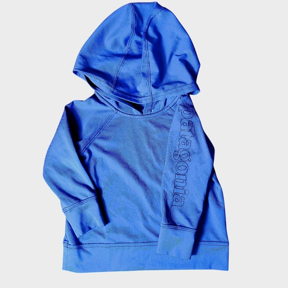 Patagonia Other - Patagonia Baby Capilene Silkweight Sun Hoody Size 3-6M Blue Long Sleeve Hoodie